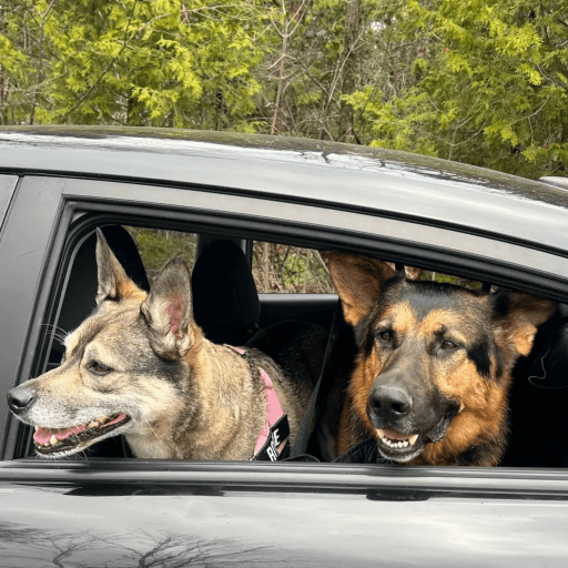 Transportation