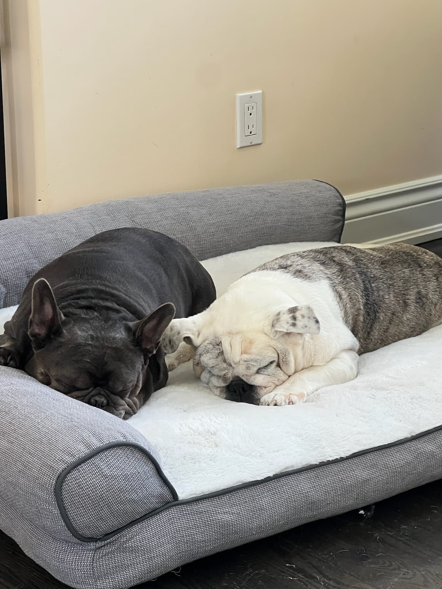 24-Hour House Sitting
