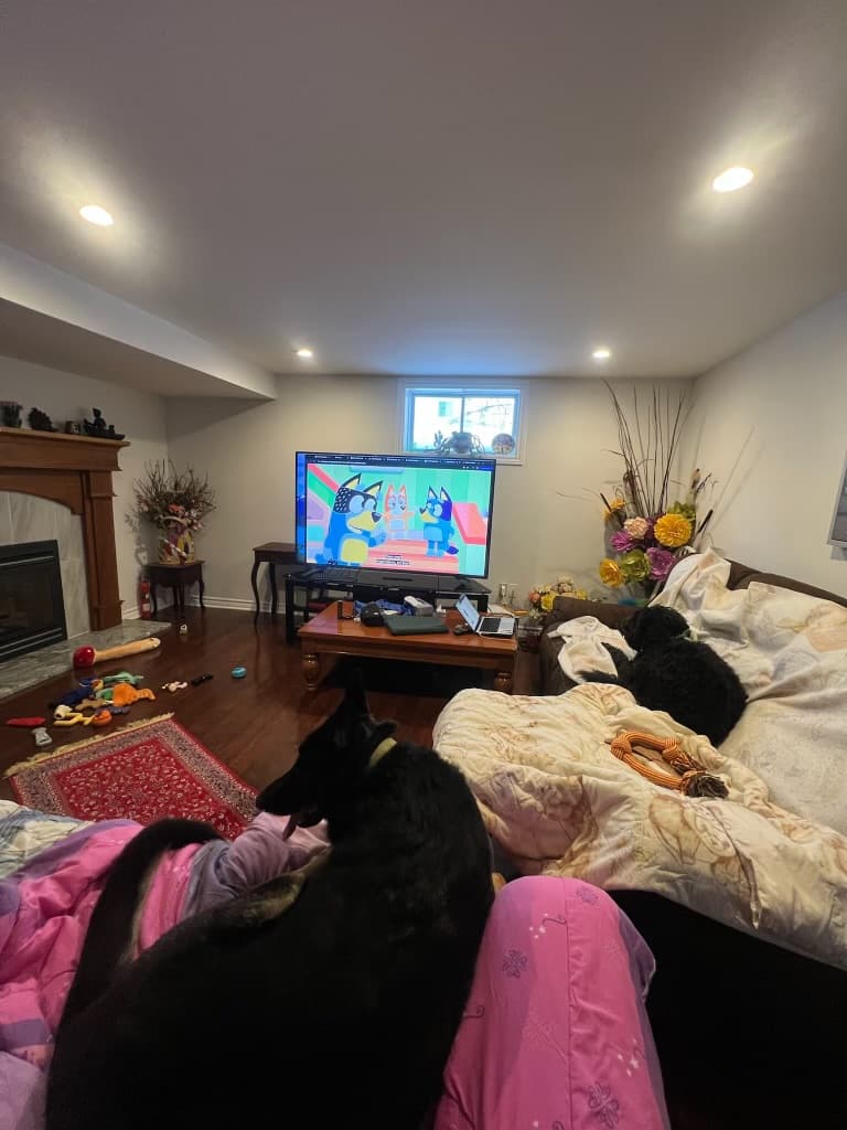 Overnight House Sitting